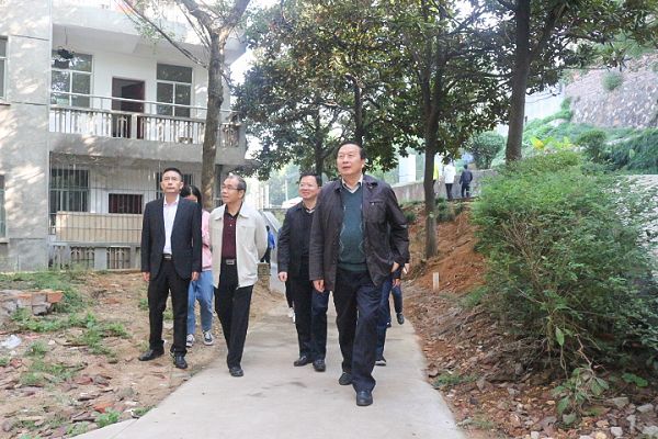 PA集团官网
