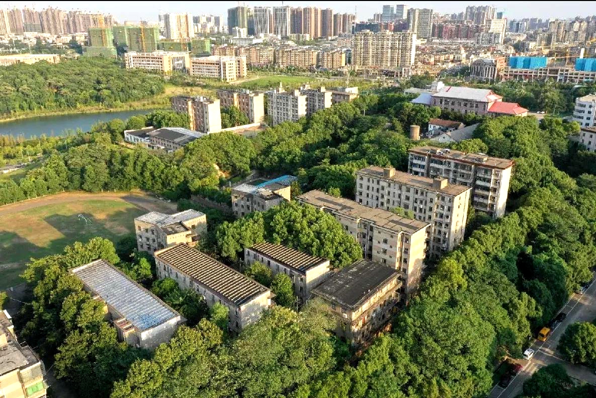 PA集团官网