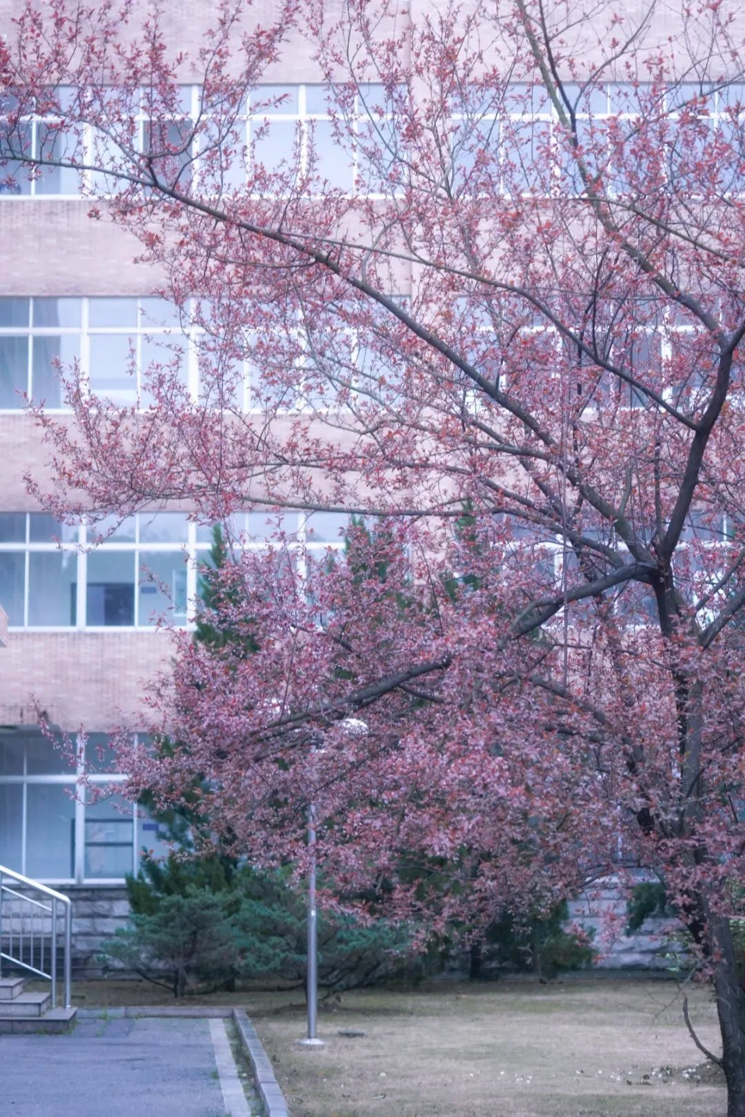 PA集团官网