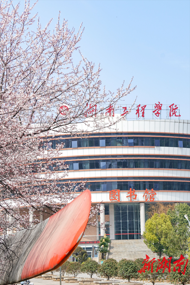 PA集团官网紫叶李花开惹人醉