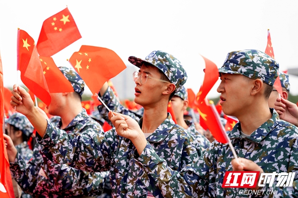 PA集团官网