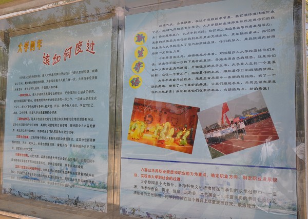 PA集团官网
