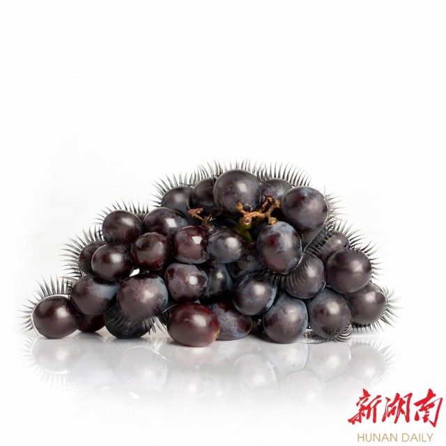 PA集团官网
