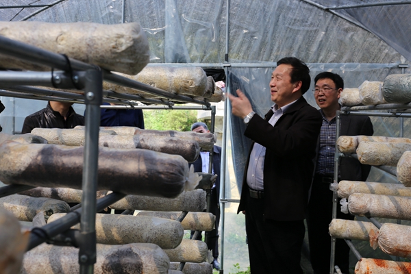 PA集团官网