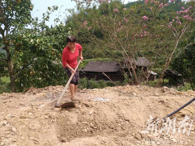 PA集团官网