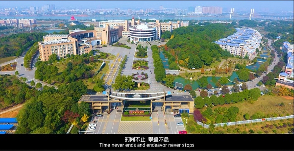 PA集团官网