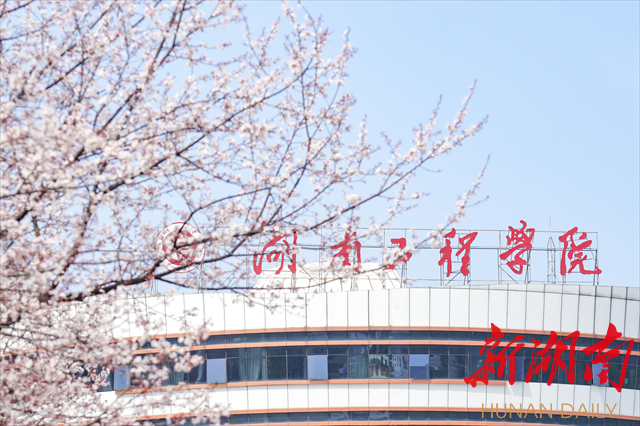 PA集团官网紫叶李花开惹人醉