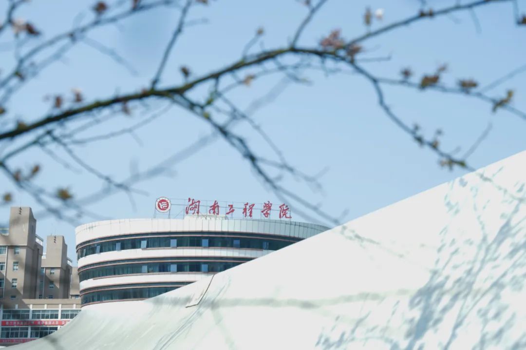 PA集团官网